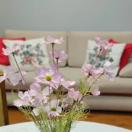 Lesna Harmonia * Olsztyn (Warmian-Masurian)